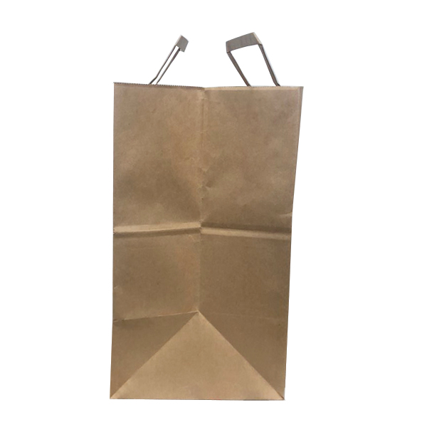 Eco-Friendly Paper Bag M size | 10.25″ x 9.5″ x 12″ | 200 (case)