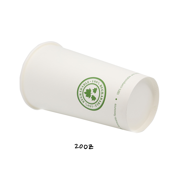 PLA Hot Drink Cup 8oz – 20oz | Eco-Friendly Paper Cup | 1,000 (case)